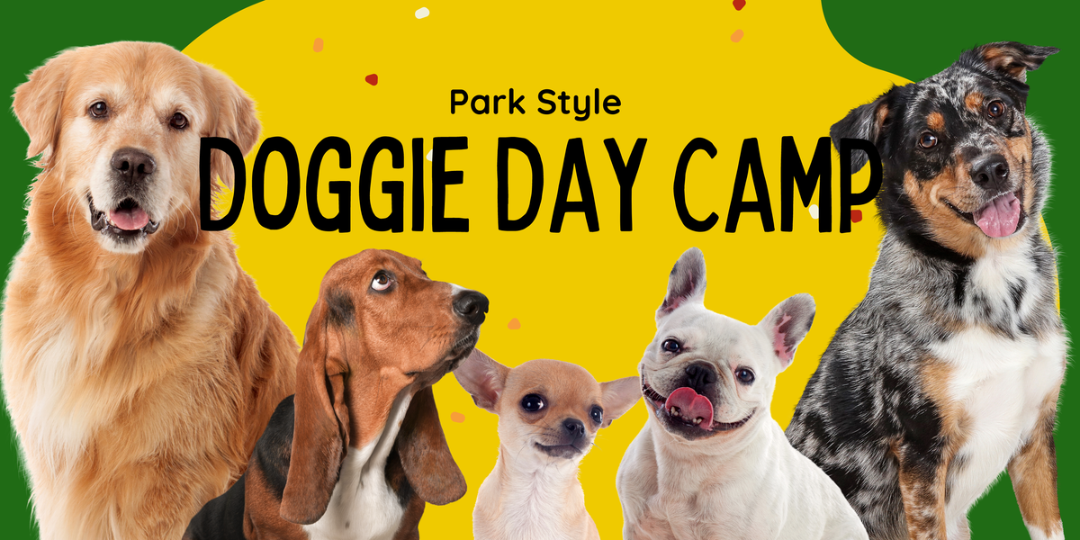 Pampered Pet Inn Pampered Pet Resorts